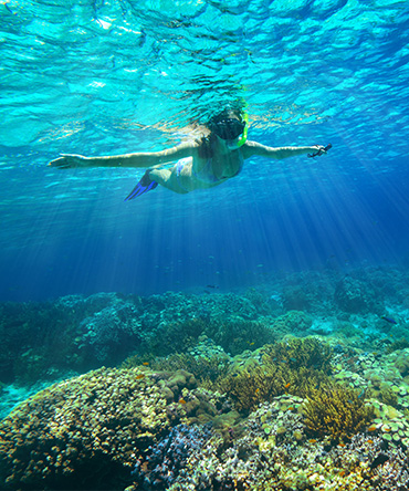 Underwater adventures